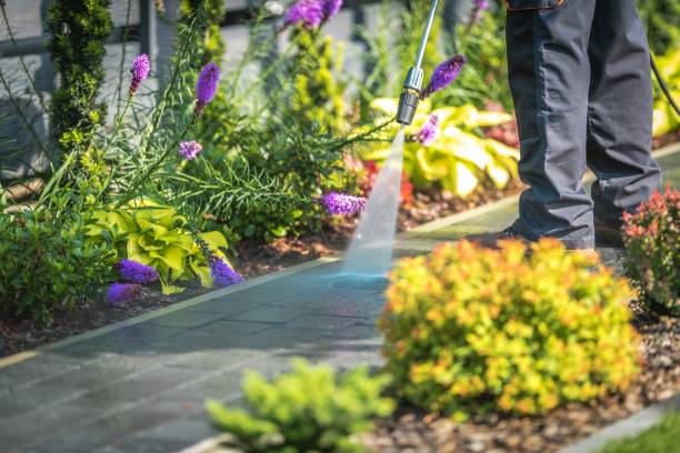 Trusted Geneva, NY Pressure Washing Services Experts
